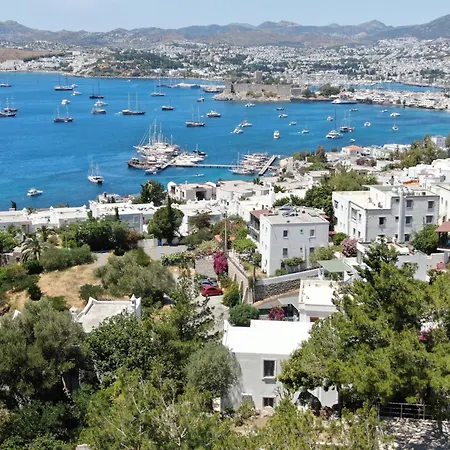 فيلة Private 5-bedroom With Pool And Sea View In بودروم